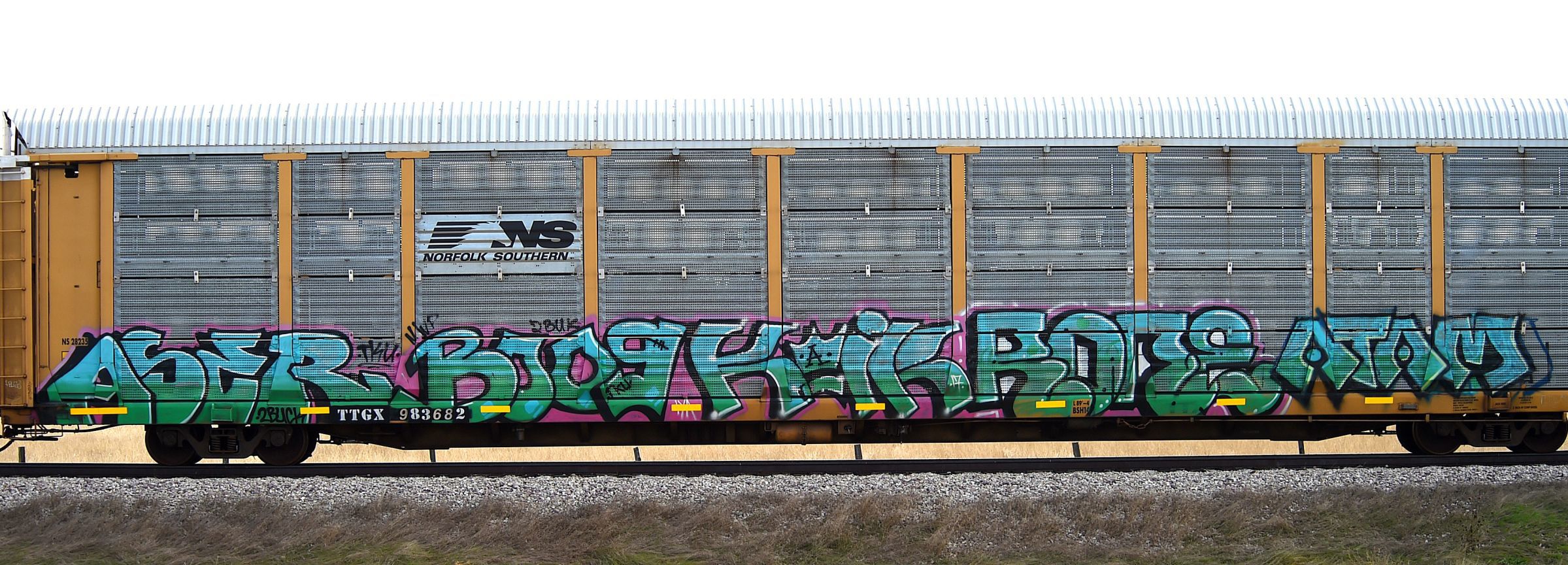 Graffiti rail cars